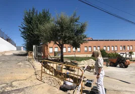 La alcaldesa, Concepción Miguélez, revisando el inicio de las obras.