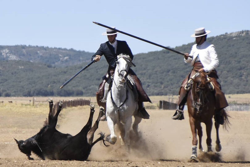 El Nacional de Faenas y Doma de Campo de Ciudad Rodrigo se marcha a Castilla La Mancha