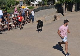 Un joven peñista corre en el encierro de Saelices el Chico