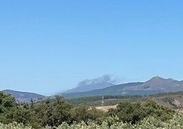 Incendio forestal en Gata.