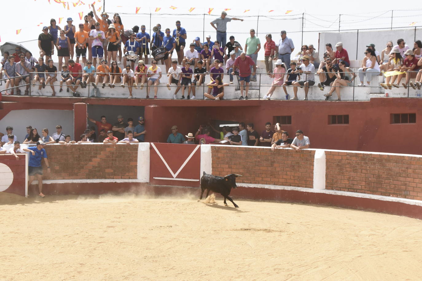 Rápida carrera en el primer encierro de Saucelle