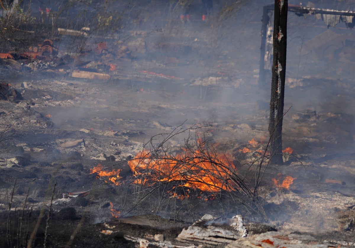 Imagen de un terreno calcinado.