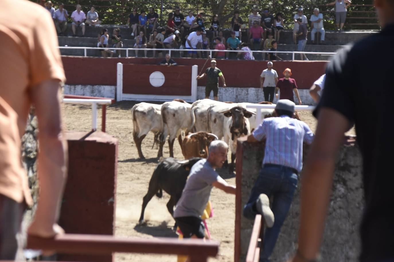 Caótico y largo encierro con caballos en Navasfrías