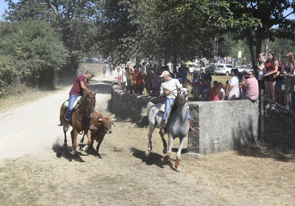 Caótico y largo encierro con caballos en Navasfrías