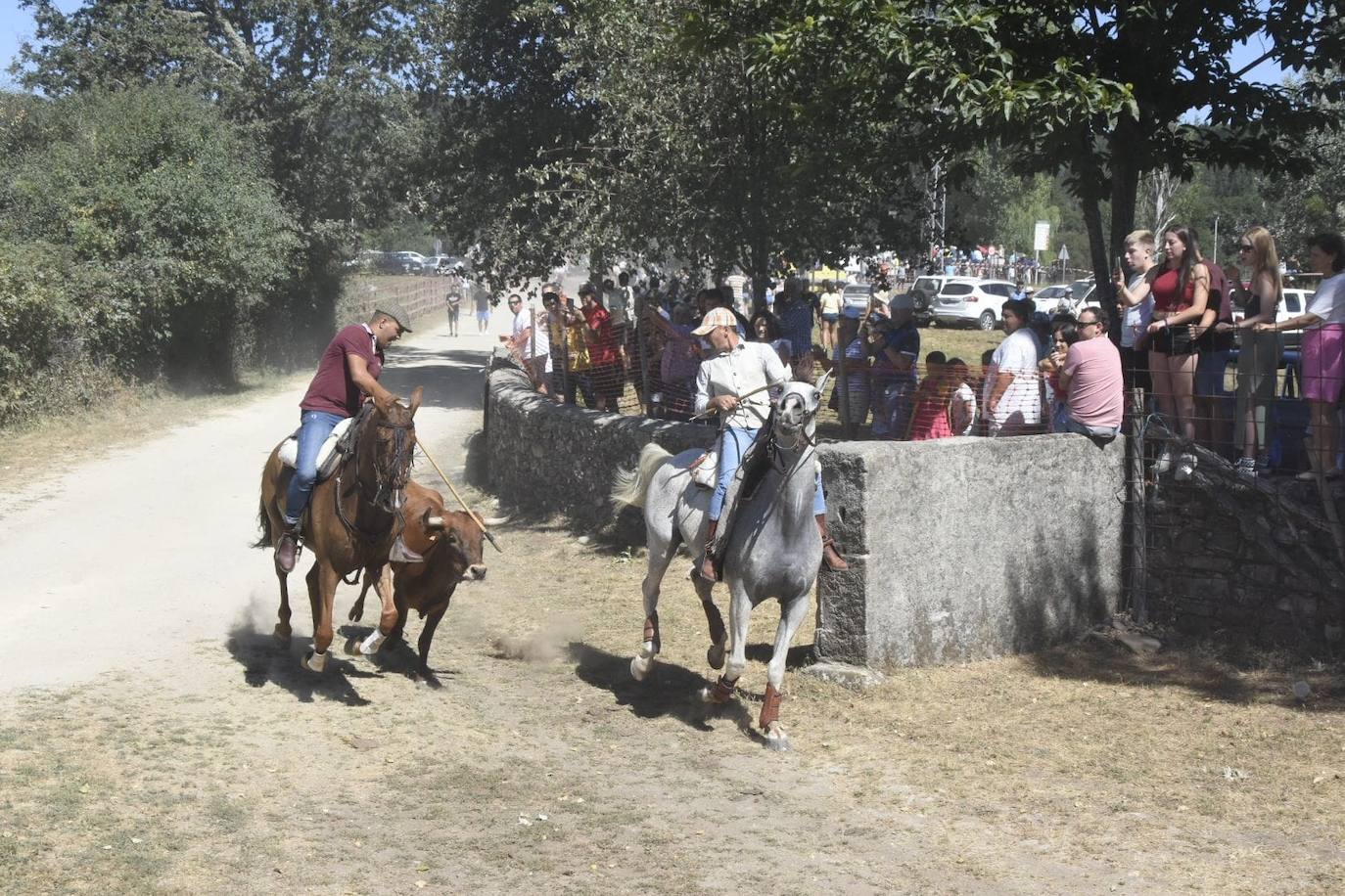 Caótico y largo encierro con caballos en Navasfrías