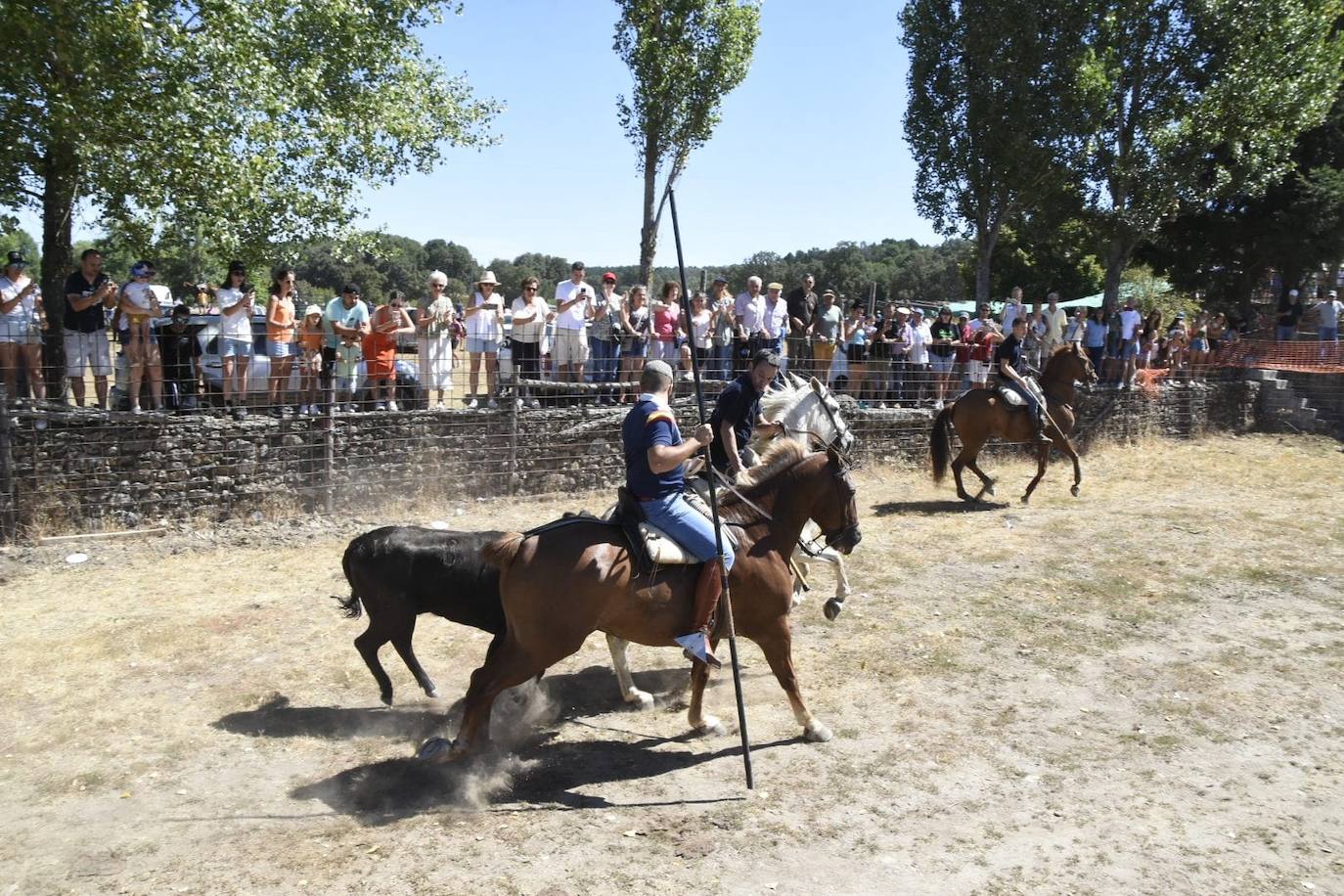 Caótico y largo encierro con caballos en Navasfrías