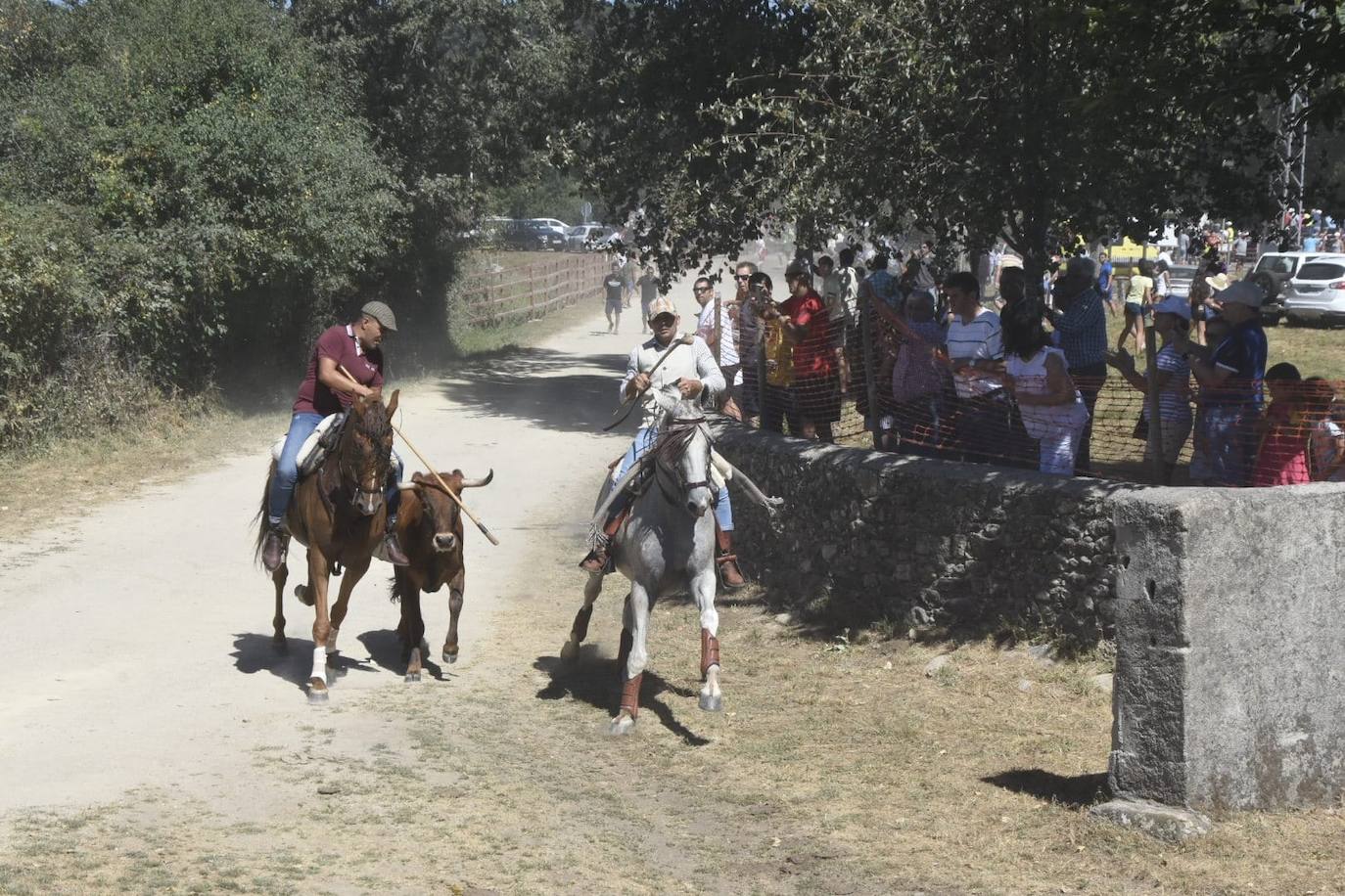 Caótico y largo encierro con caballos en Navasfrías