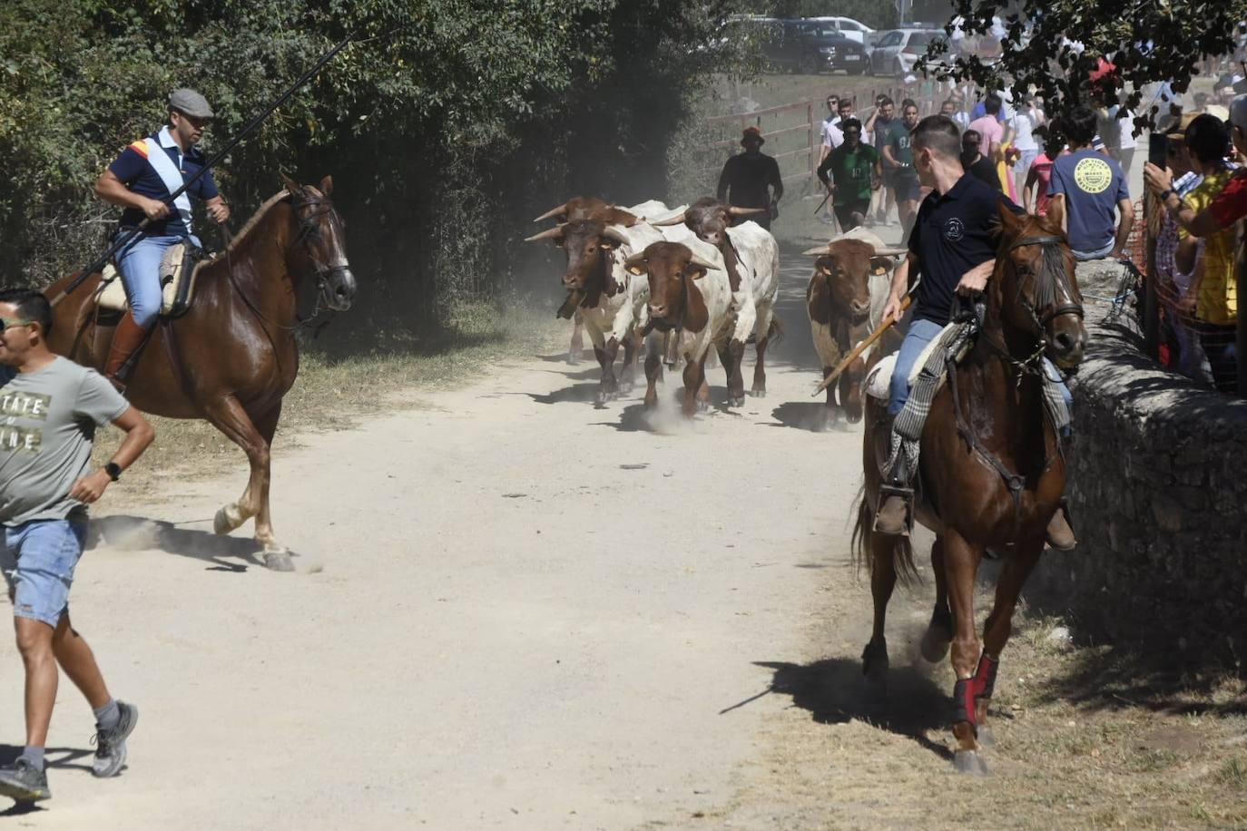 Caótico y largo encierro con caballos en Navasfrías