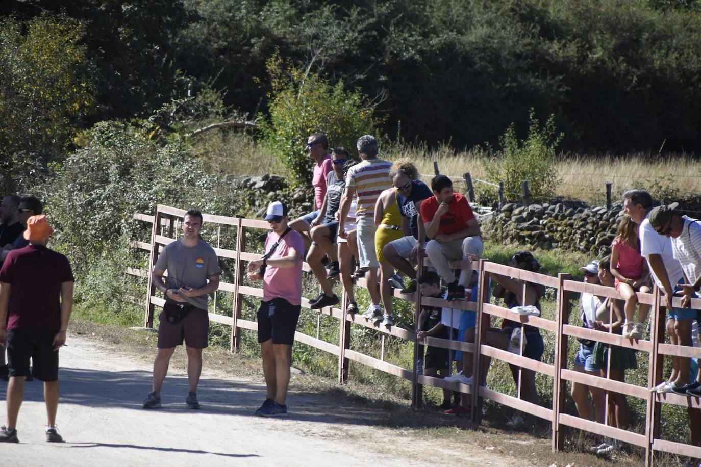 Caótico y largo encierro con caballos en Navasfrías