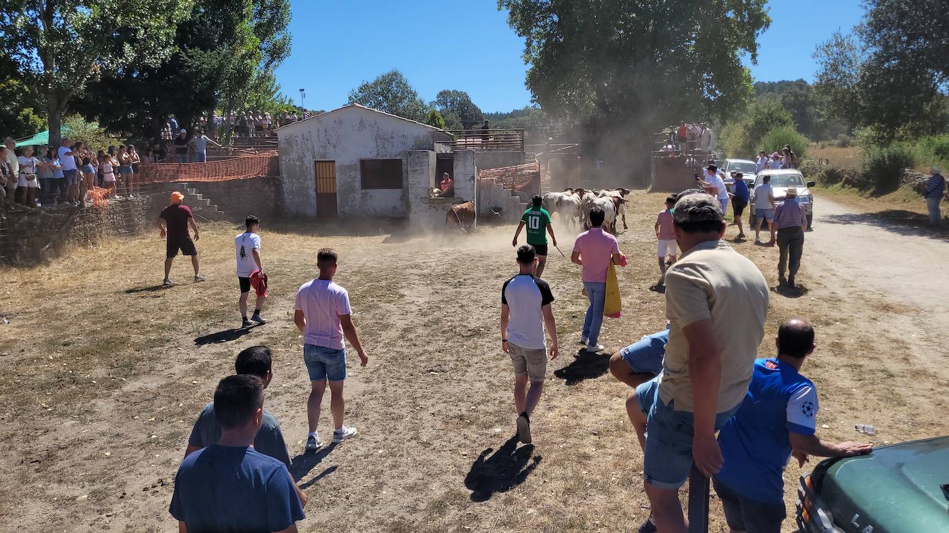 Caótico y largo encierro con caballos en Navasfrías