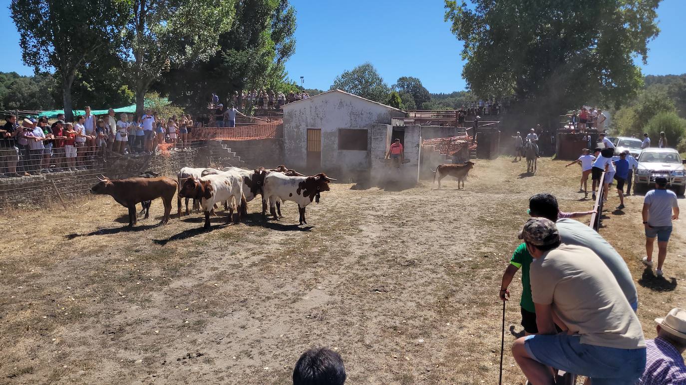 Caótico y largo encierro con caballos en Navasfrías