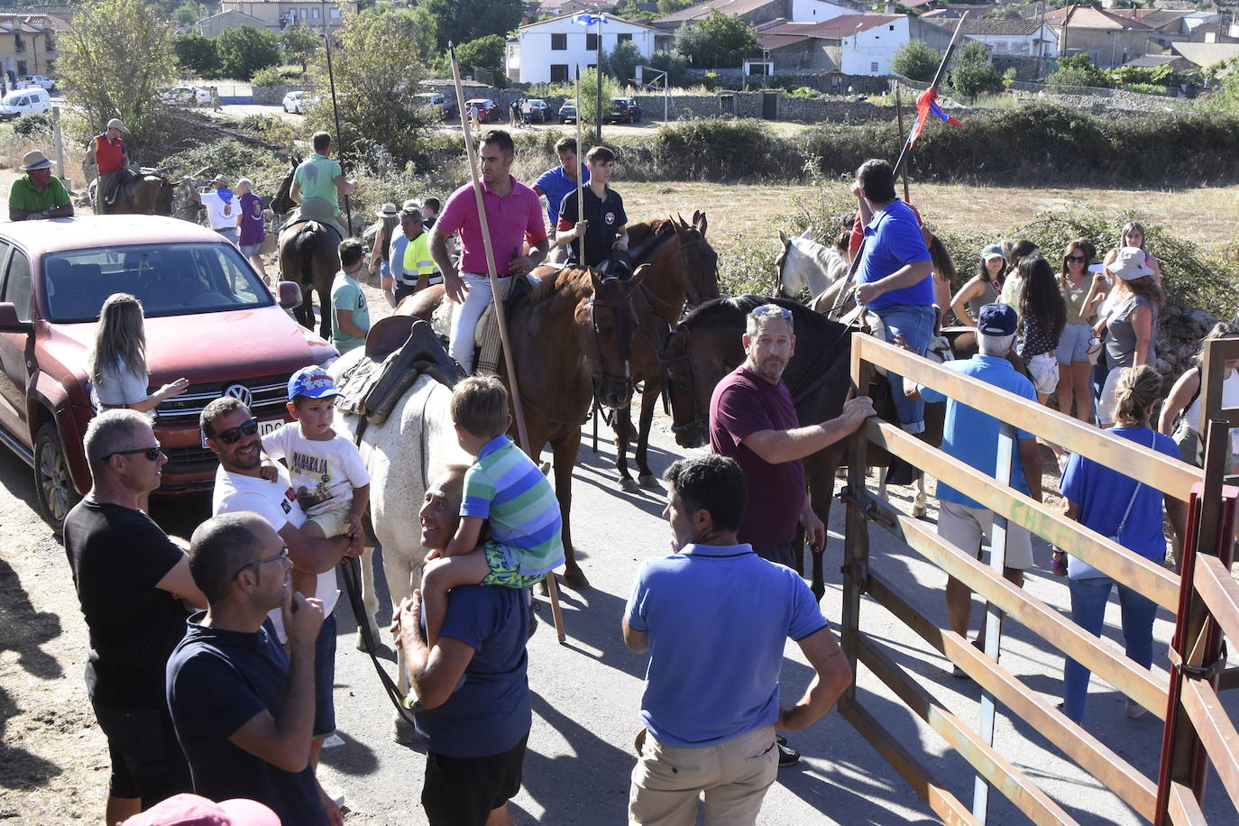 Vaquillas y caballos al galope bajo el sol de La Raya