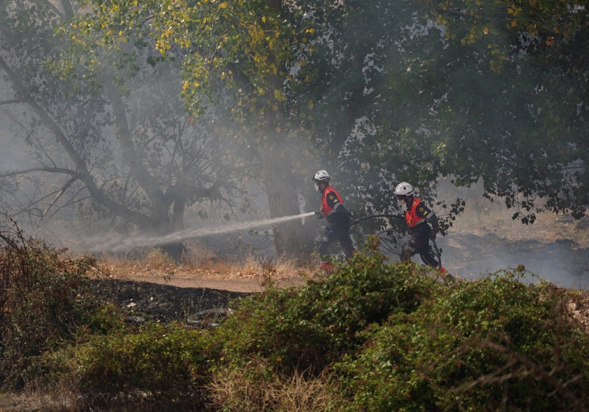 Los Bomberos, en una intervención de archivo