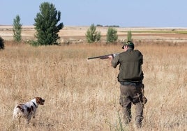 Un cazador en la apertura de la media veda la pasada temporada en tierras de Peñaranda.