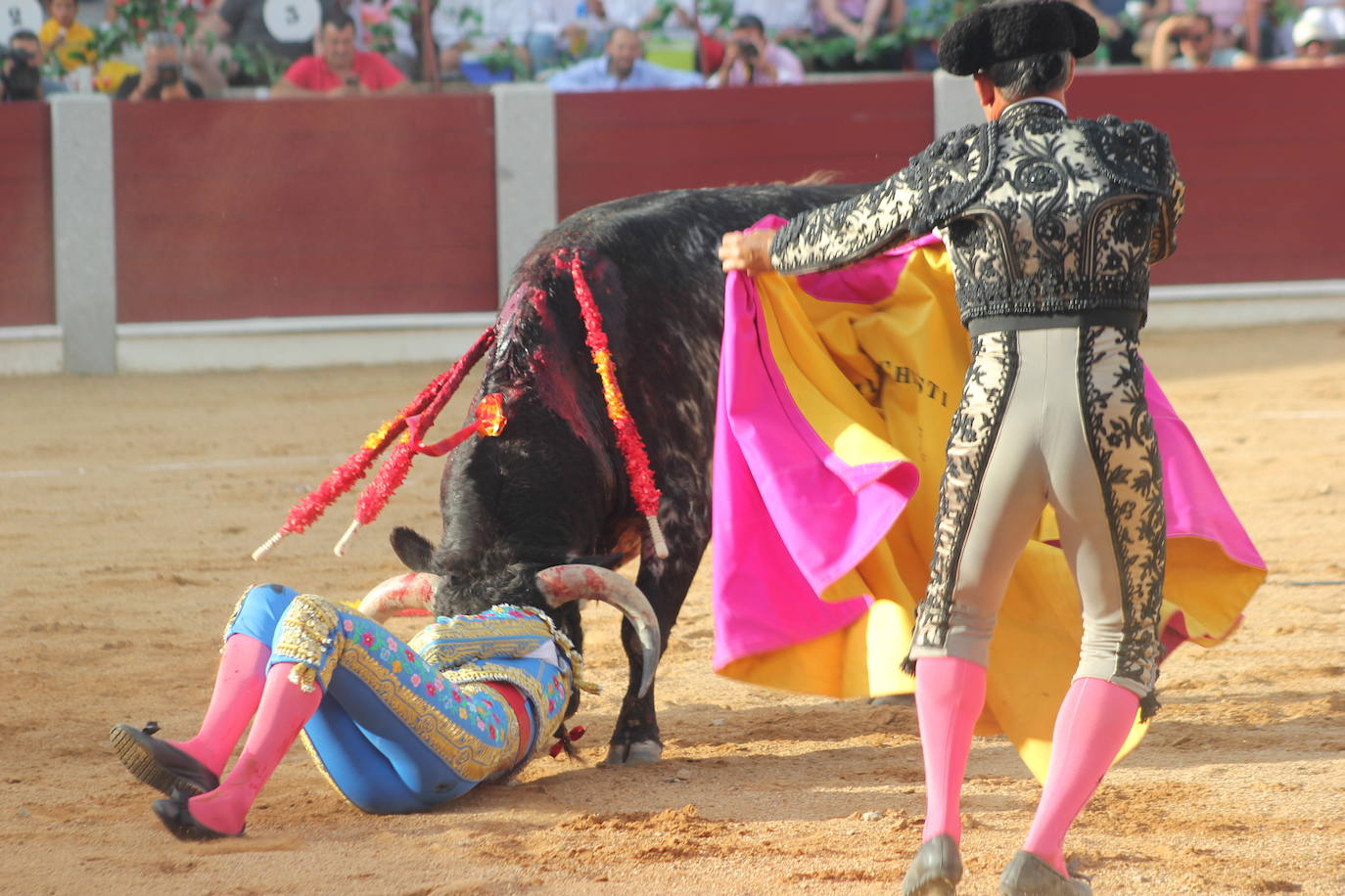 Las mejores imágenes de la novillada de la Feria de Guijuelo