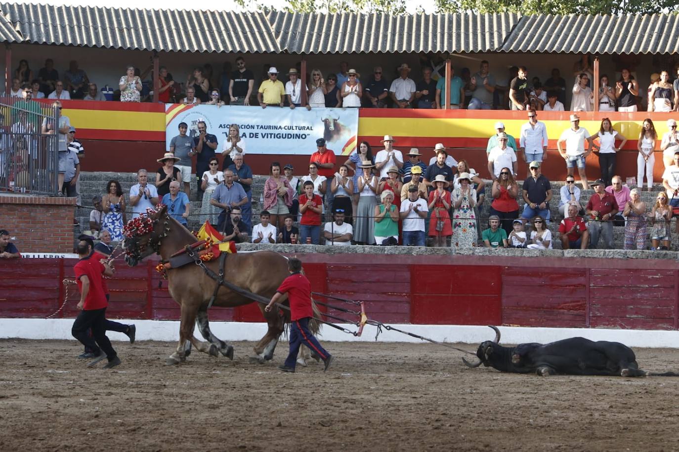 Las mejores imágenes del debut de Miura en Salamanca