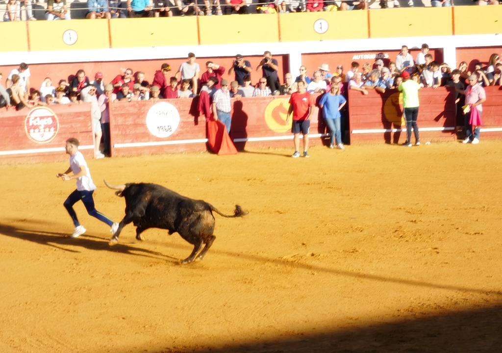 Cuatro pases en cada encierro de Macotera