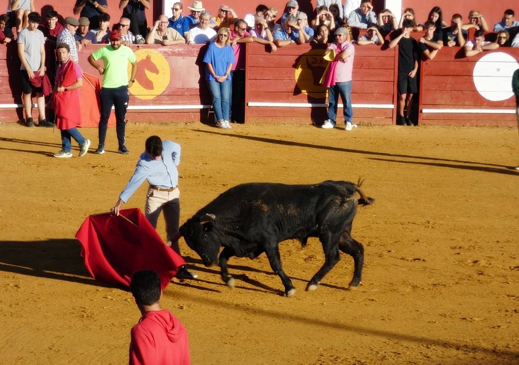 Cuatro pases en cada encierro de Macotera