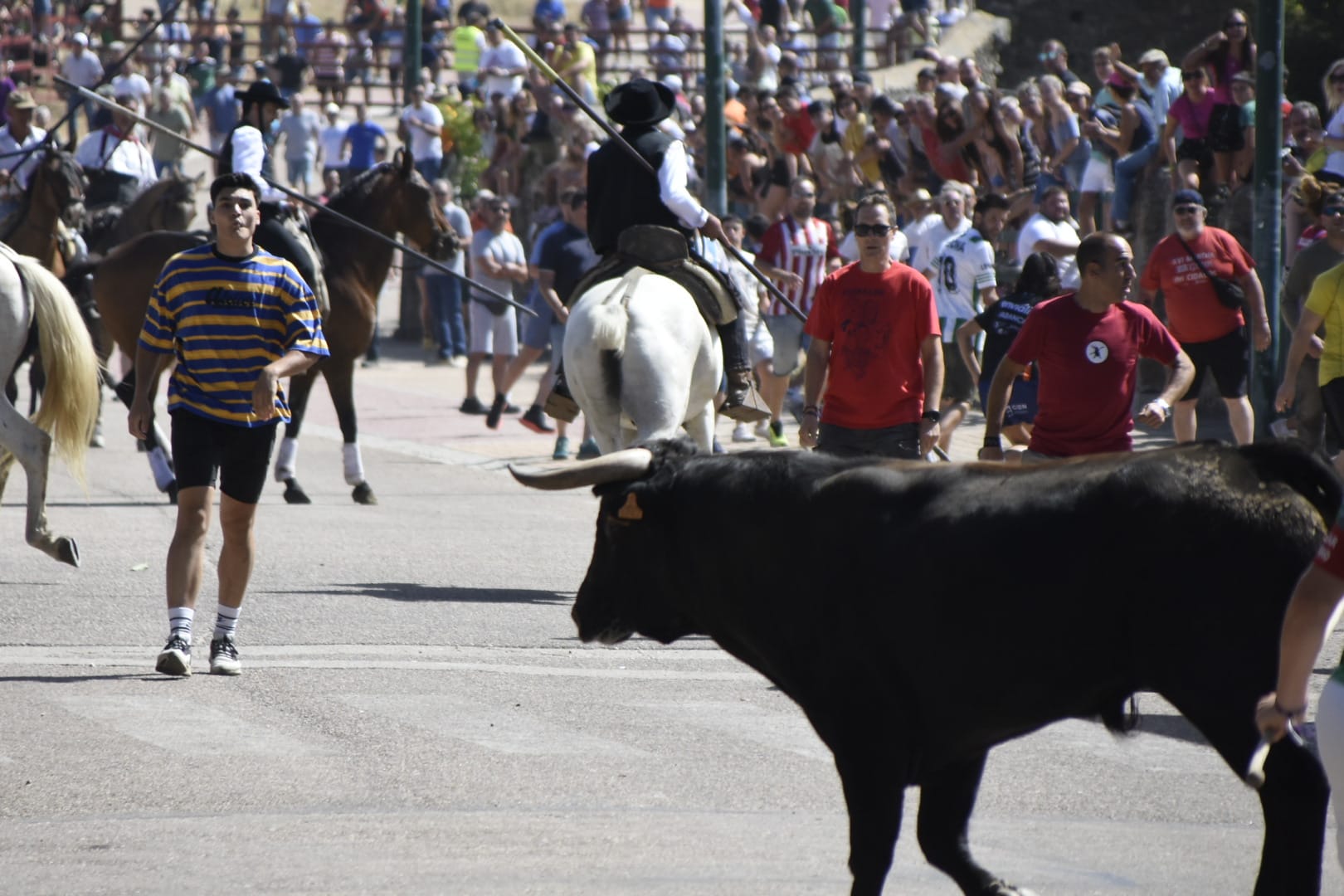 Las mejores imágenes del primer encierro en Fuenteguinaldo