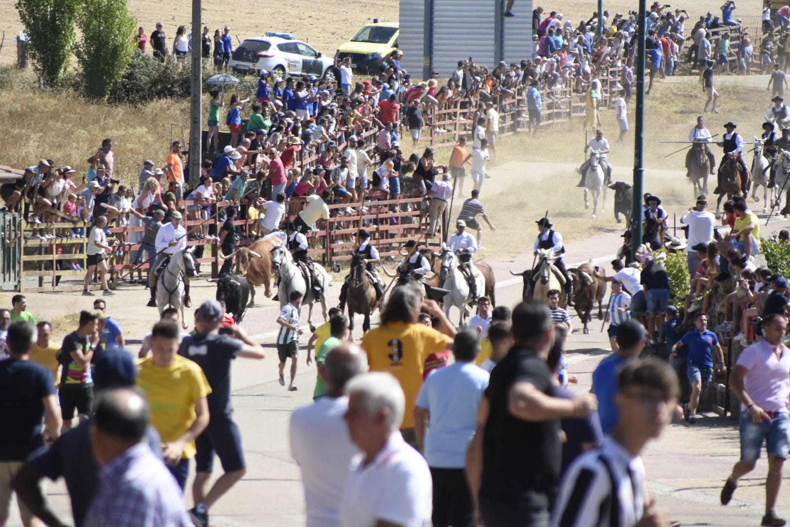 Las mejores imágenes del primer encierro en Fuenteguinaldo