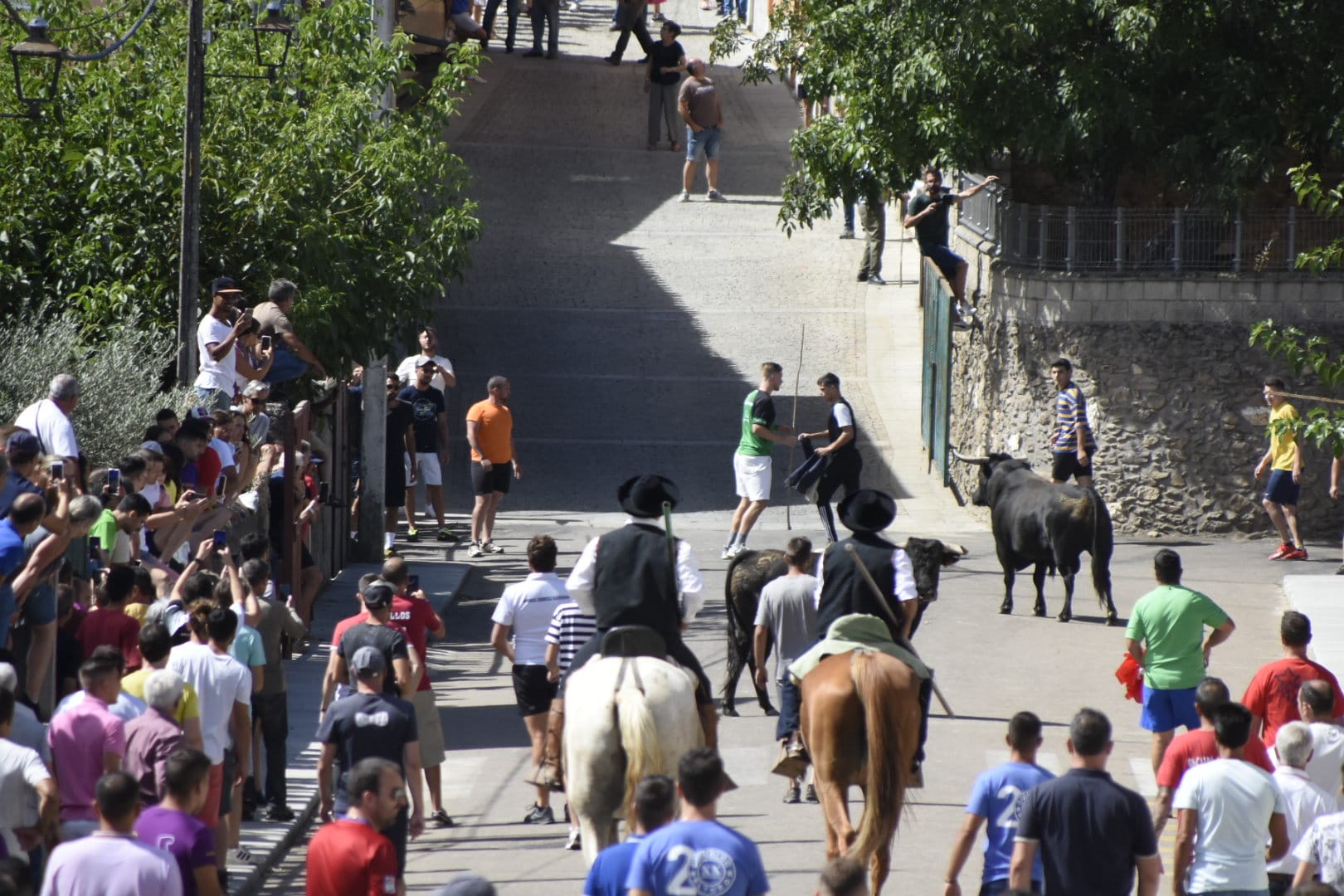 Las mejores imágenes del primer encierro en Fuenteguinaldo