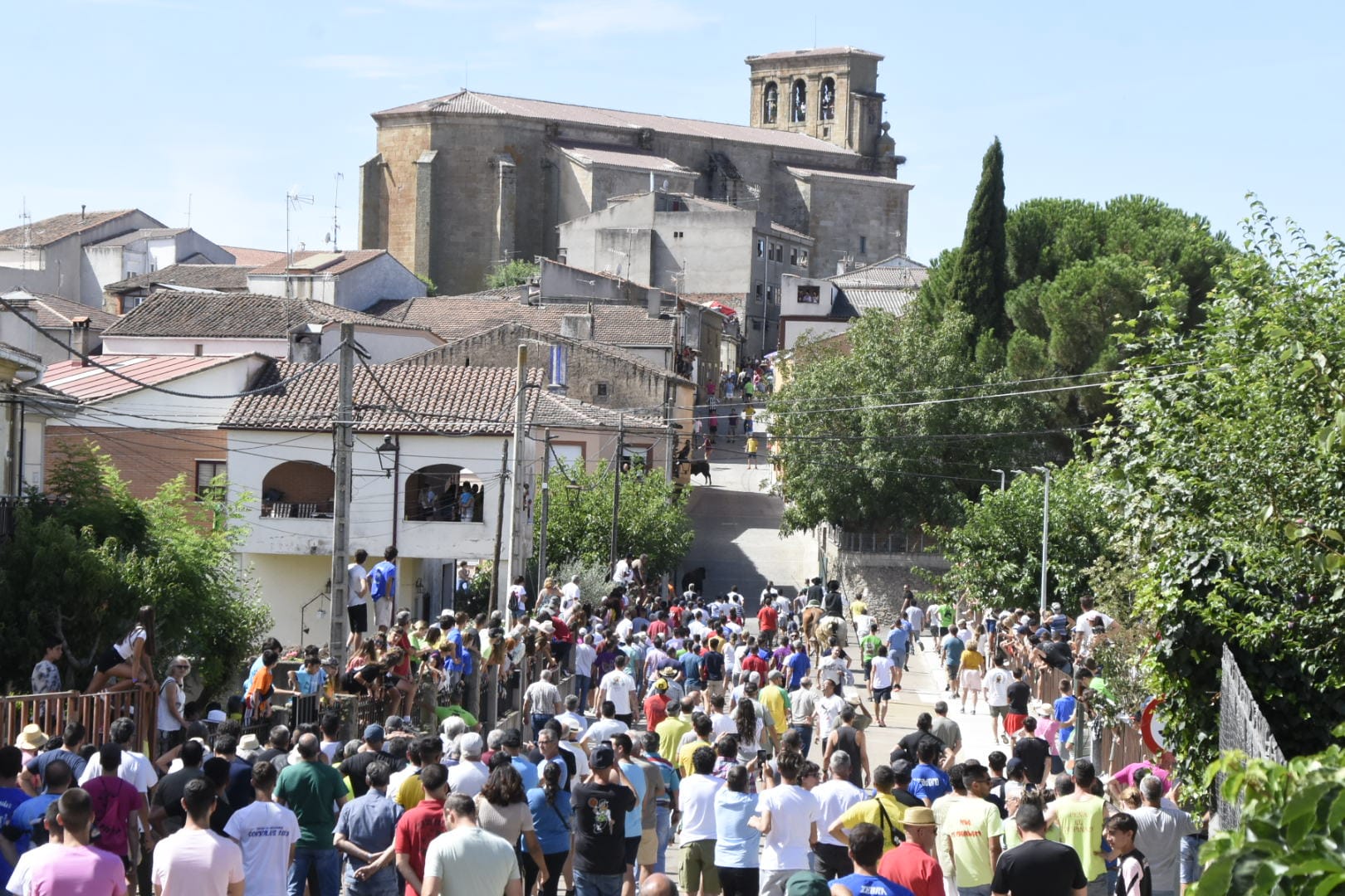 Las mejores imágenes del primer encierro en Fuenteguinaldo