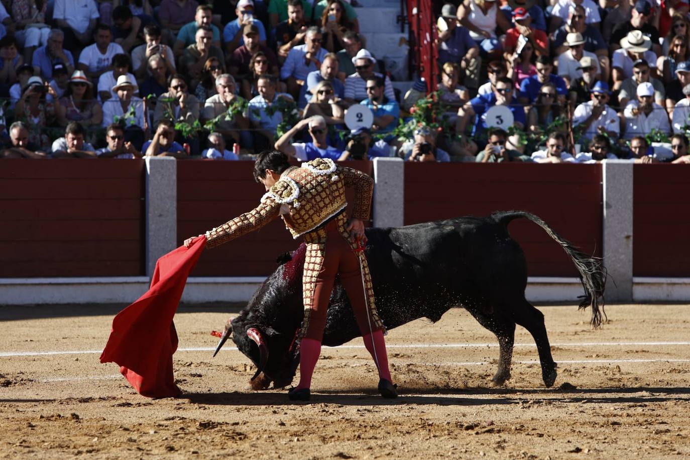 Las mejores imágenes del festejo de El Juli, El Capea y López Chaves en Guijuelo