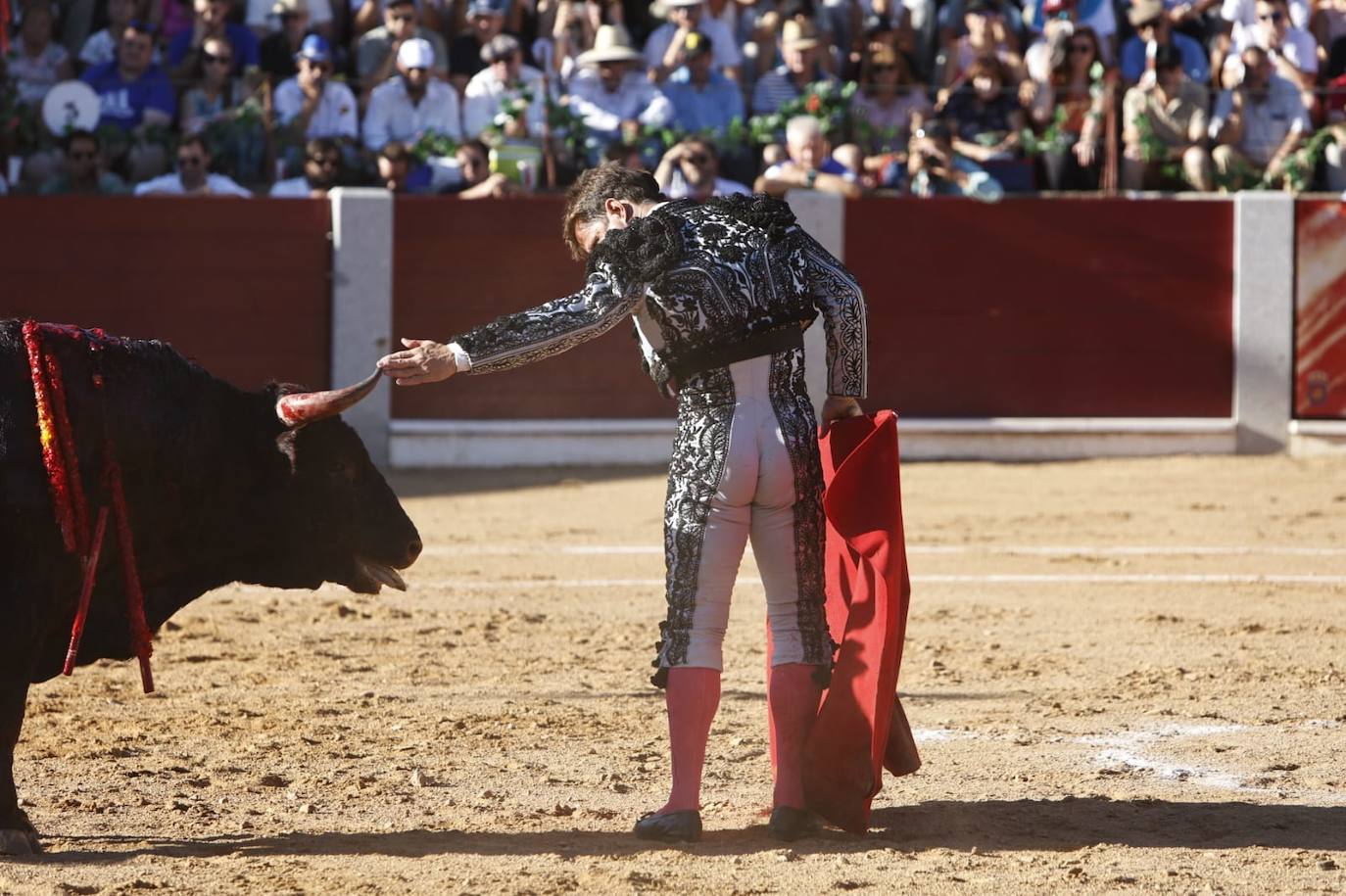 Las mejores imágenes del festejo de El Juli, El Capea y López Chaves en Guijuelo