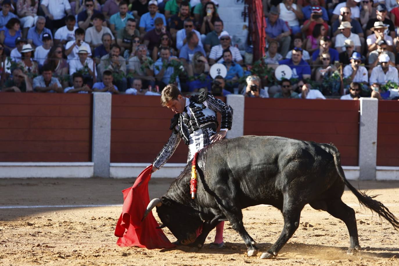 Las mejores imágenes del festejo de El Juli, El Capea y López Chaves en Guijuelo