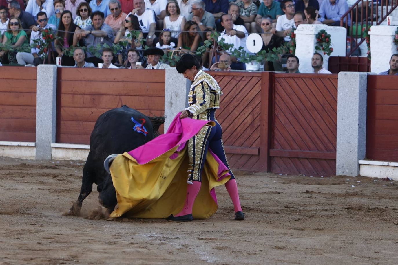 Las mejores imágenes del festejo de El Juli, El Capea y López Chaves en Guijuelo