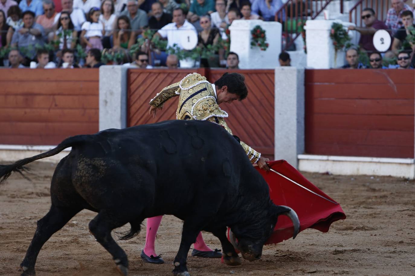 Las mejores imágenes del festejo de El Juli, El Capea y López Chaves en Guijuelo