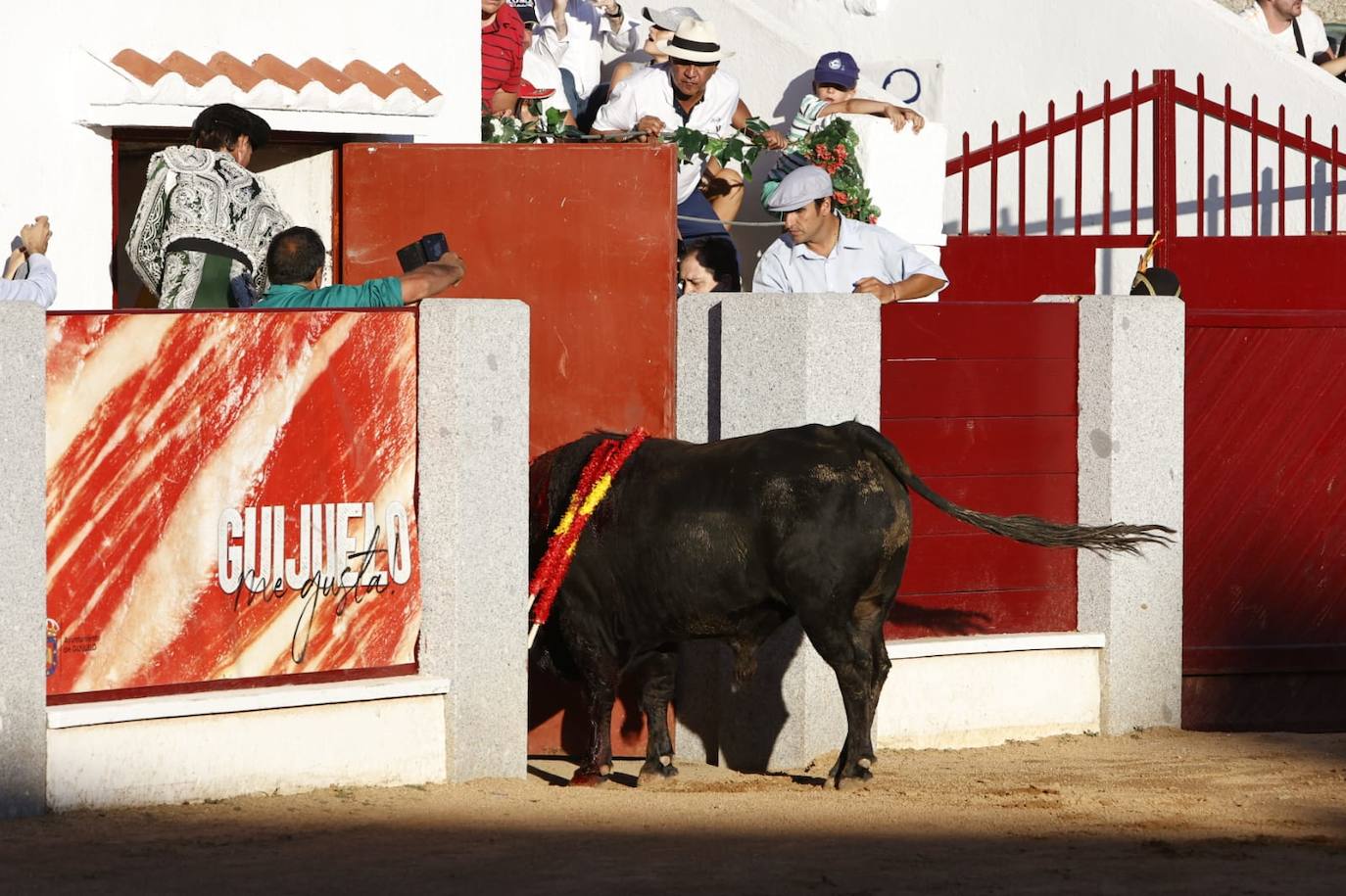 Las mejores imágenes del festejo de El Juli, El Capea y López Chaves en Guijuelo