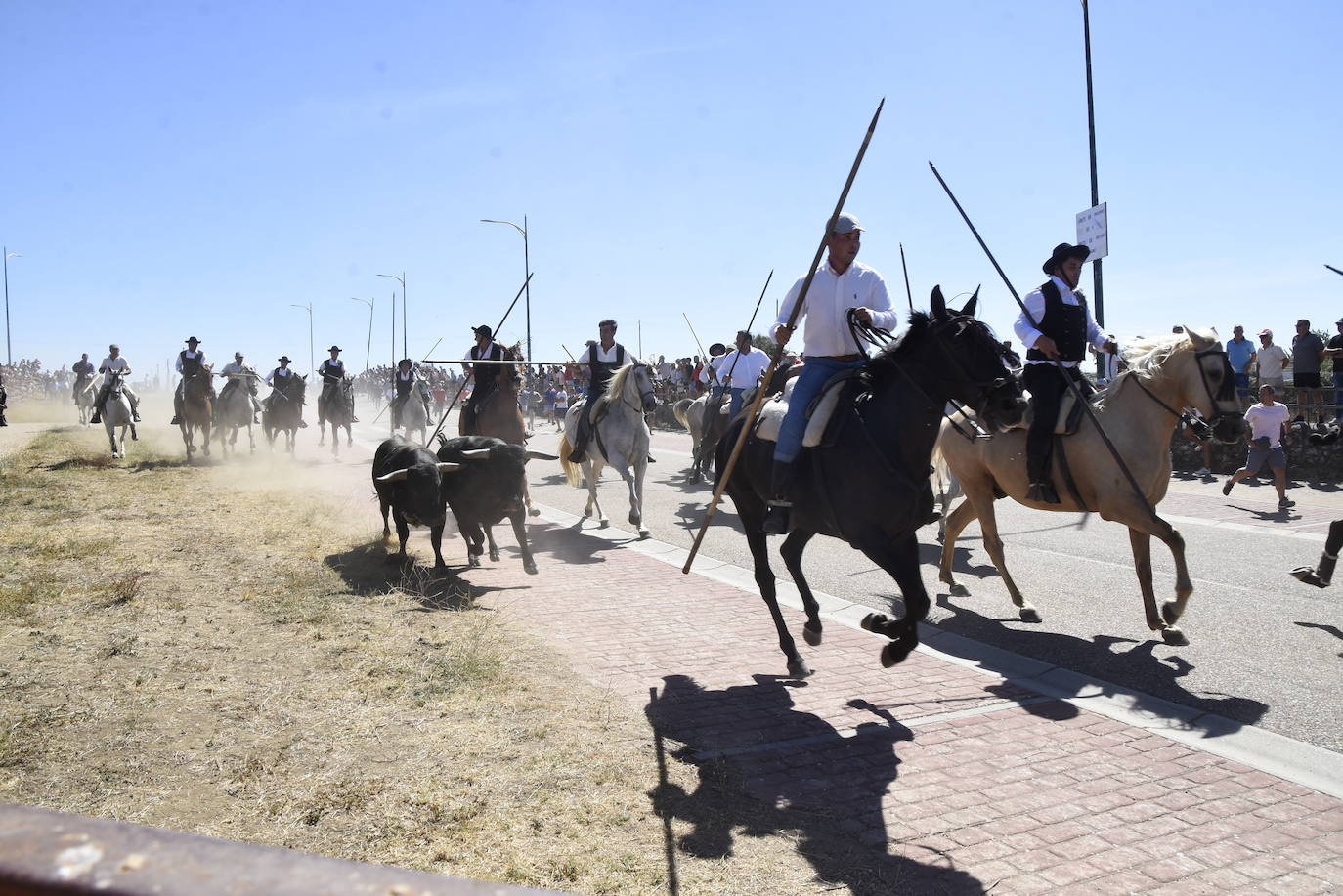 Reses bajo control en Fuenteguinaldo
