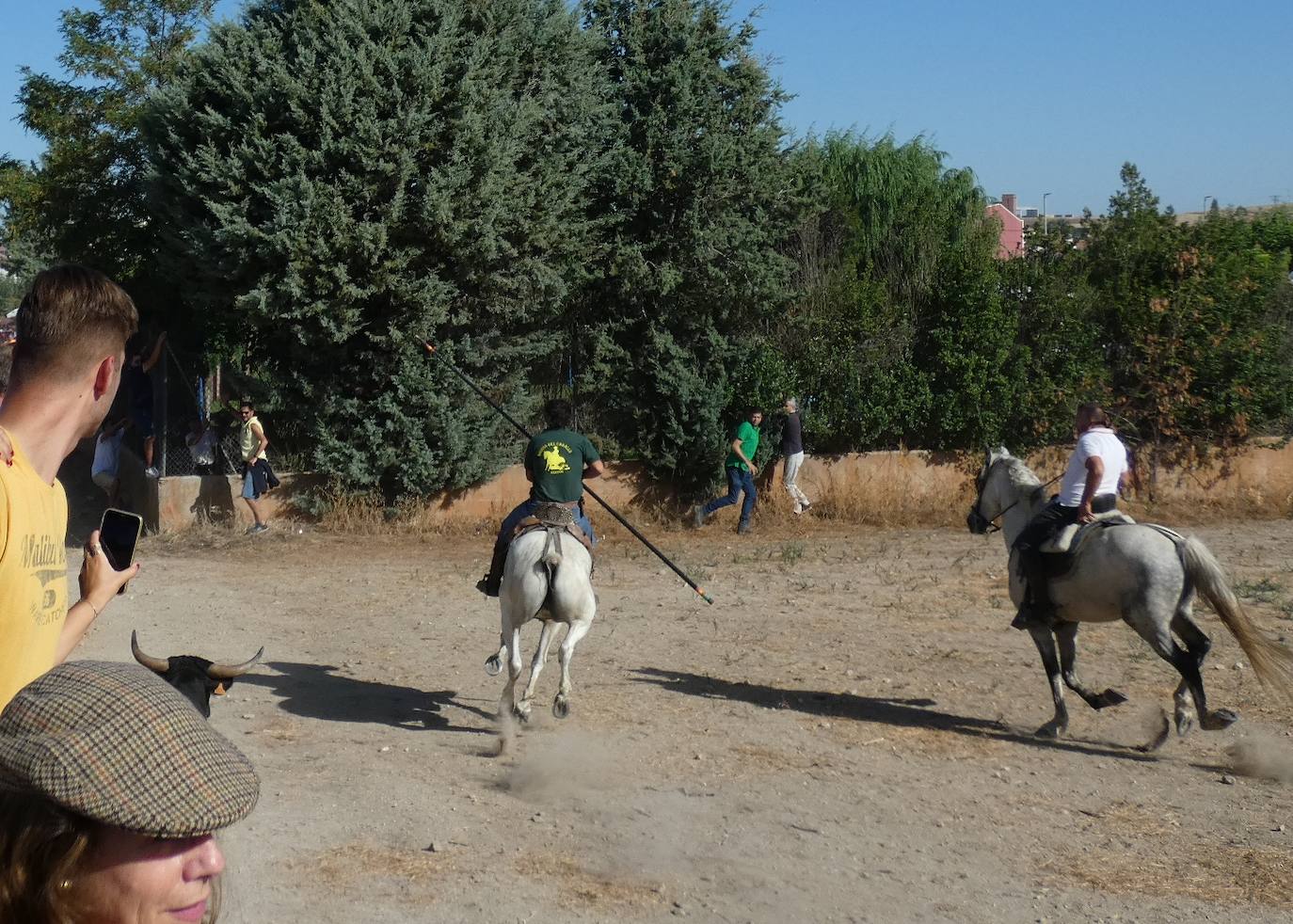 Cientos de jinetes en el XXI encierro campero de Macotera