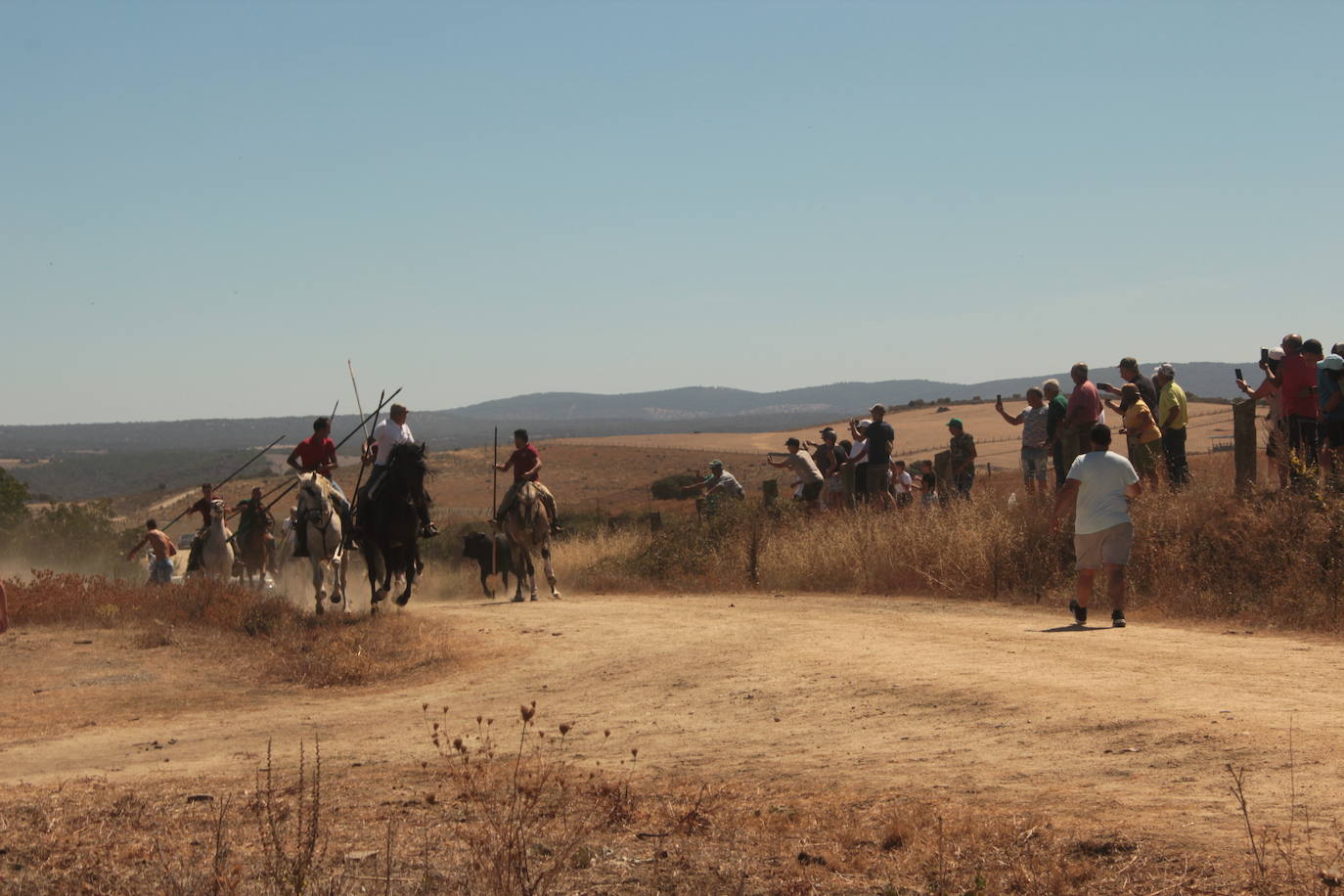 Los novillos se rebelan en Villar de la Yegua