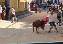 Uno de los mozos con la primera vaquilla en el encierro de Calzada de Valdunciel