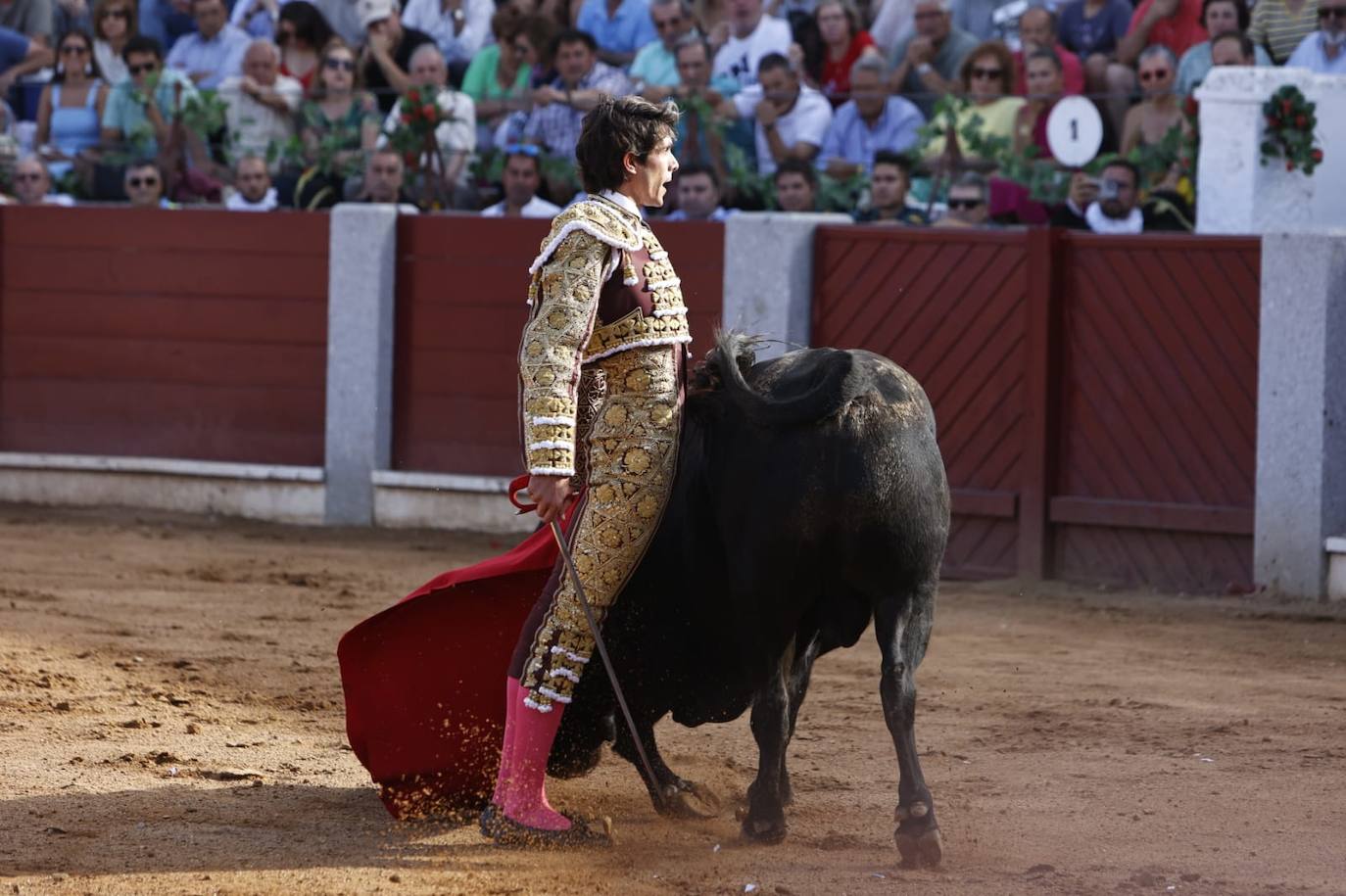 Las mejores imágenes del festejo de Talavante, Castella y Diosleguarde en Guijuelo