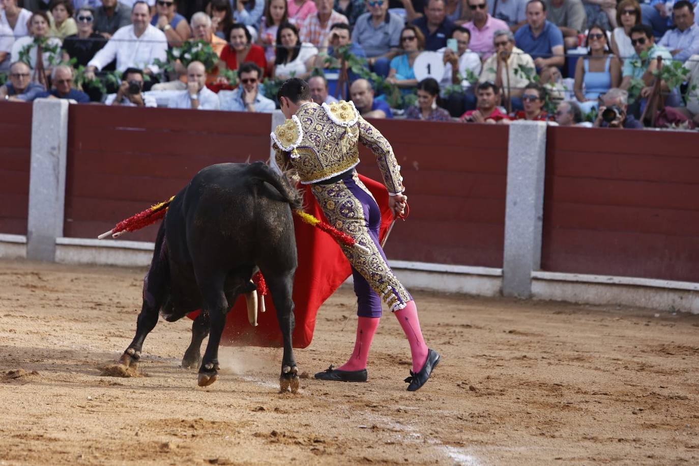 Las mejores imágenes del festejo de Talavante, Castella y Diosleguarde en Guijuelo