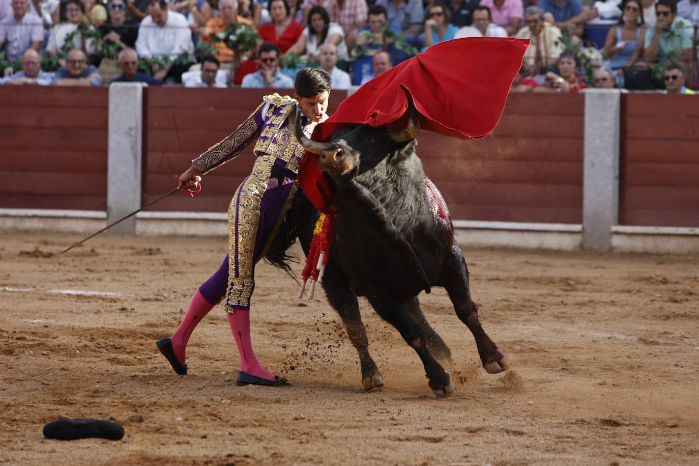 Las mejores imágenes del festejo de Talavante, Castella y Diosleguarde en Guijuelo