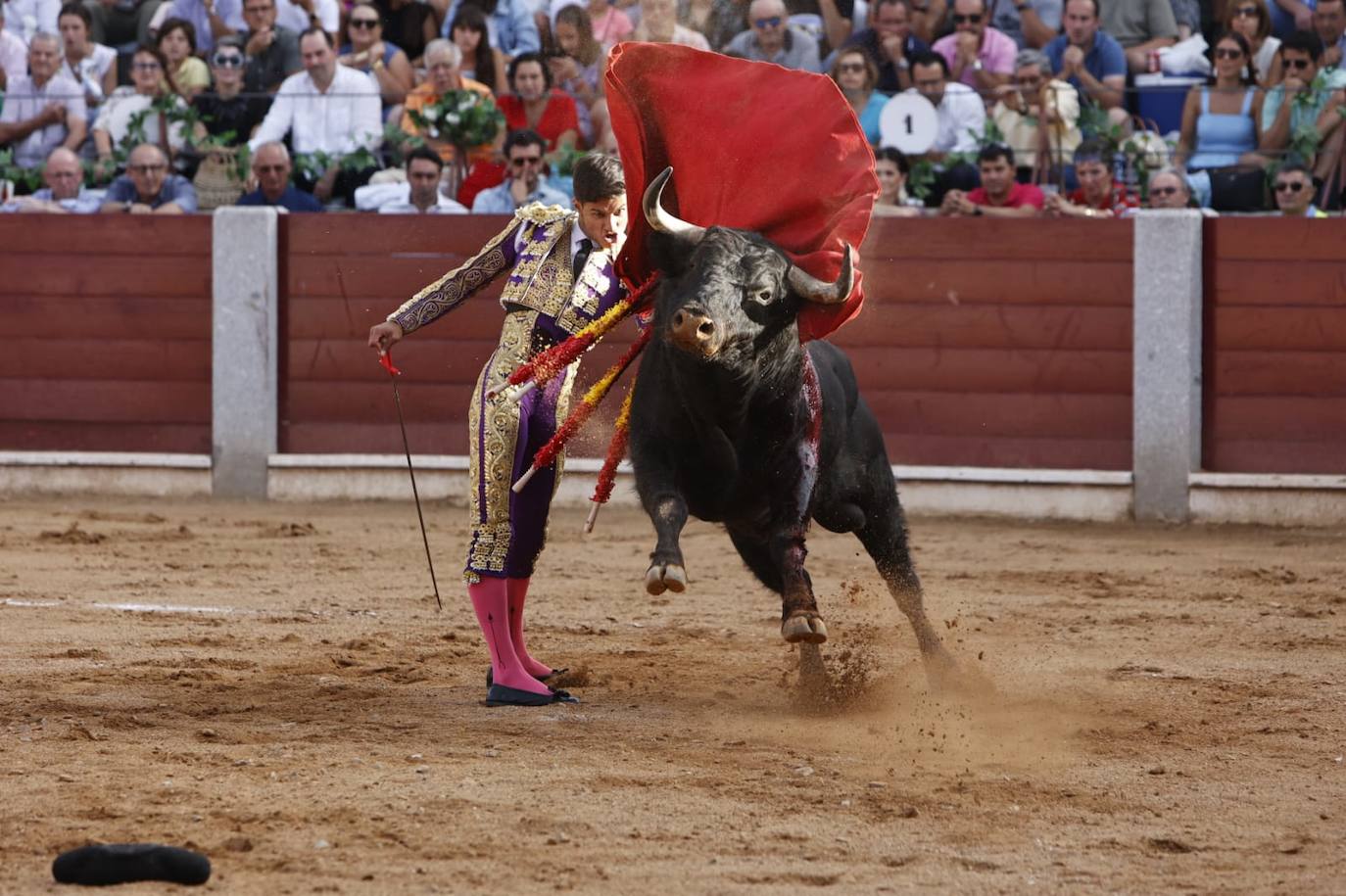 Las mejores imágenes del festejo de Talavante, Castella y Diosleguarde en Guijuelo