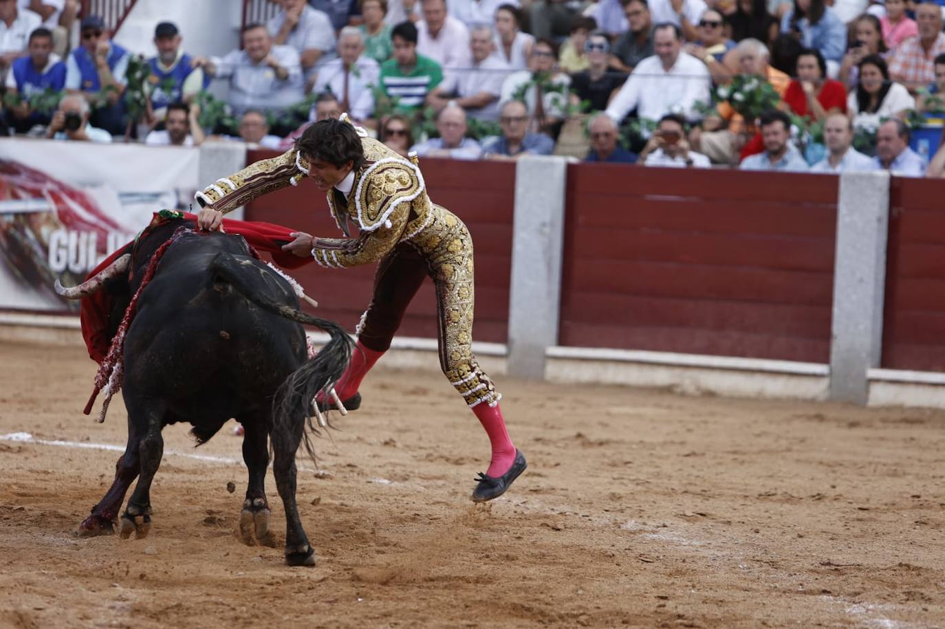 Las mejores imágenes del festejo de Talavante, Castella y Diosleguarde en Guijuelo