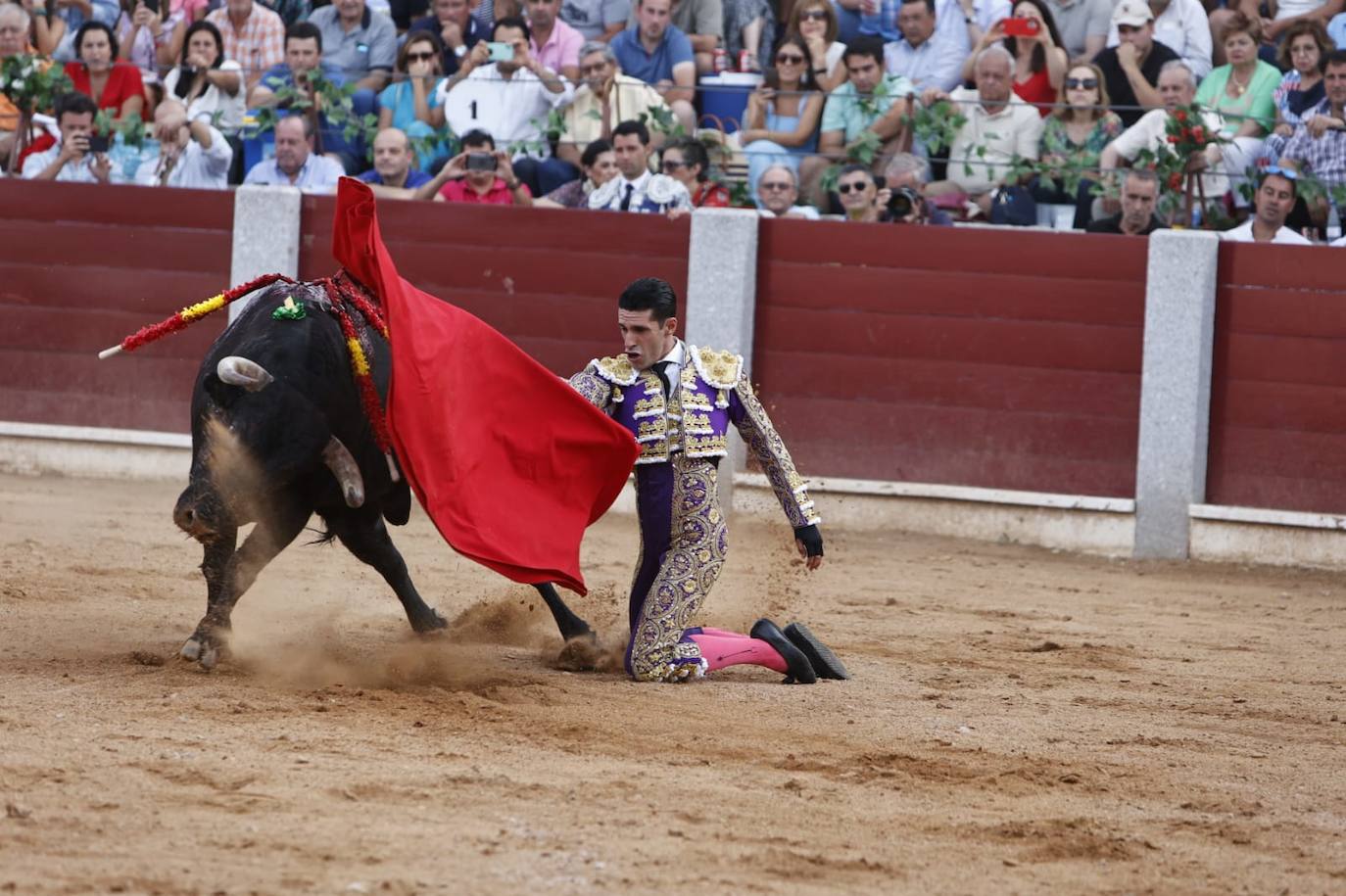 Las mejores imágenes del festejo de Talavante, Castella y Diosleguarde en Guijuelo