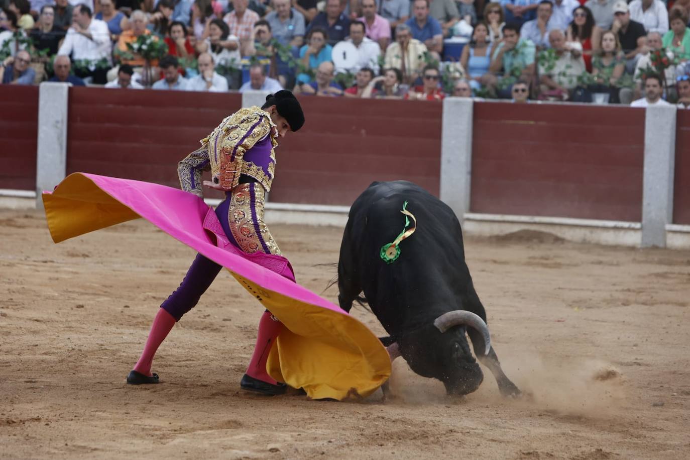 Las mejores imágenes del festejo de Talavante, Castella y Diosleguarde en Guijuelo