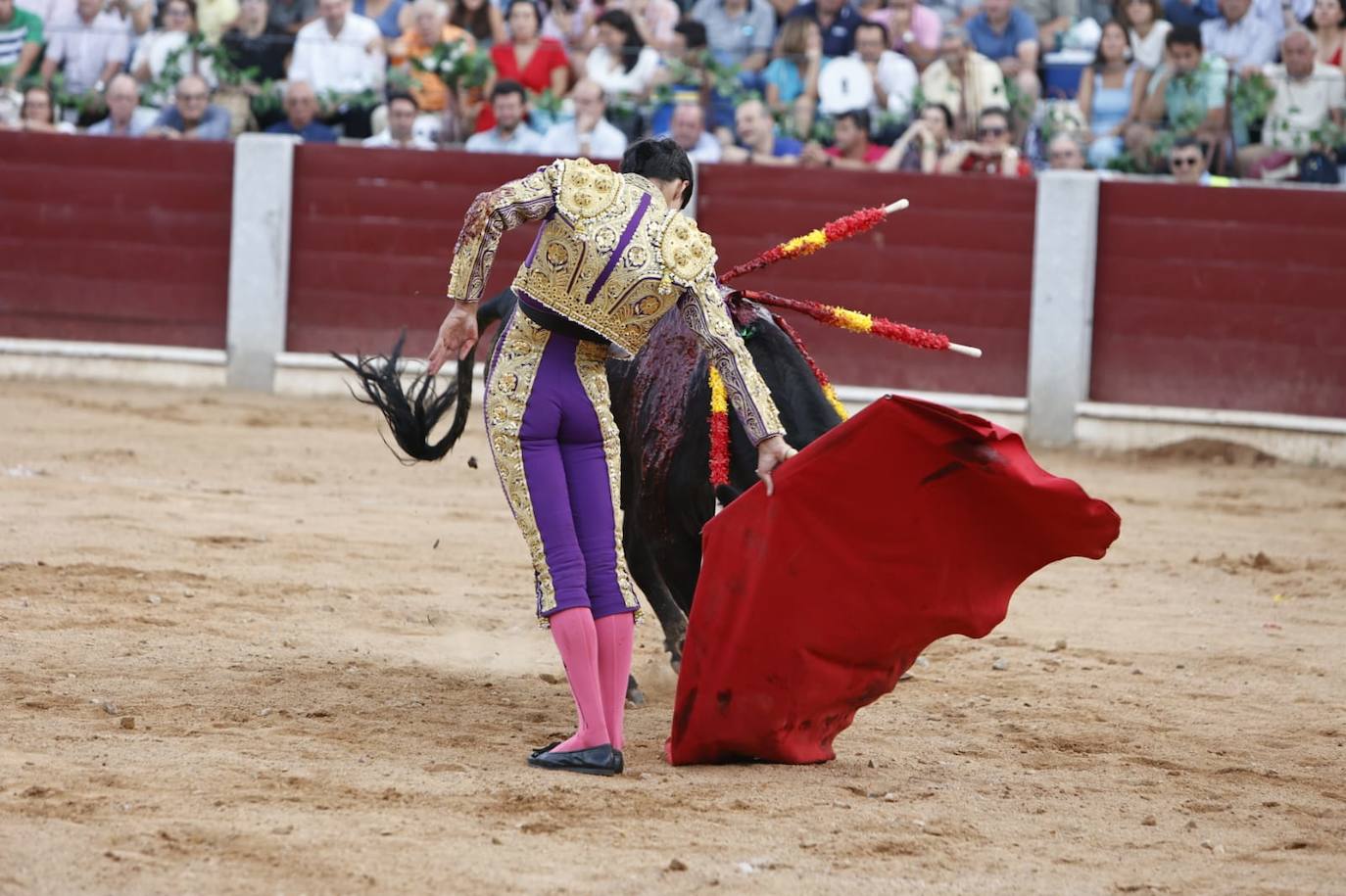 Las mejores imágenes del festejo de Talavante, Castella y Diosleguarde en Guijuelo