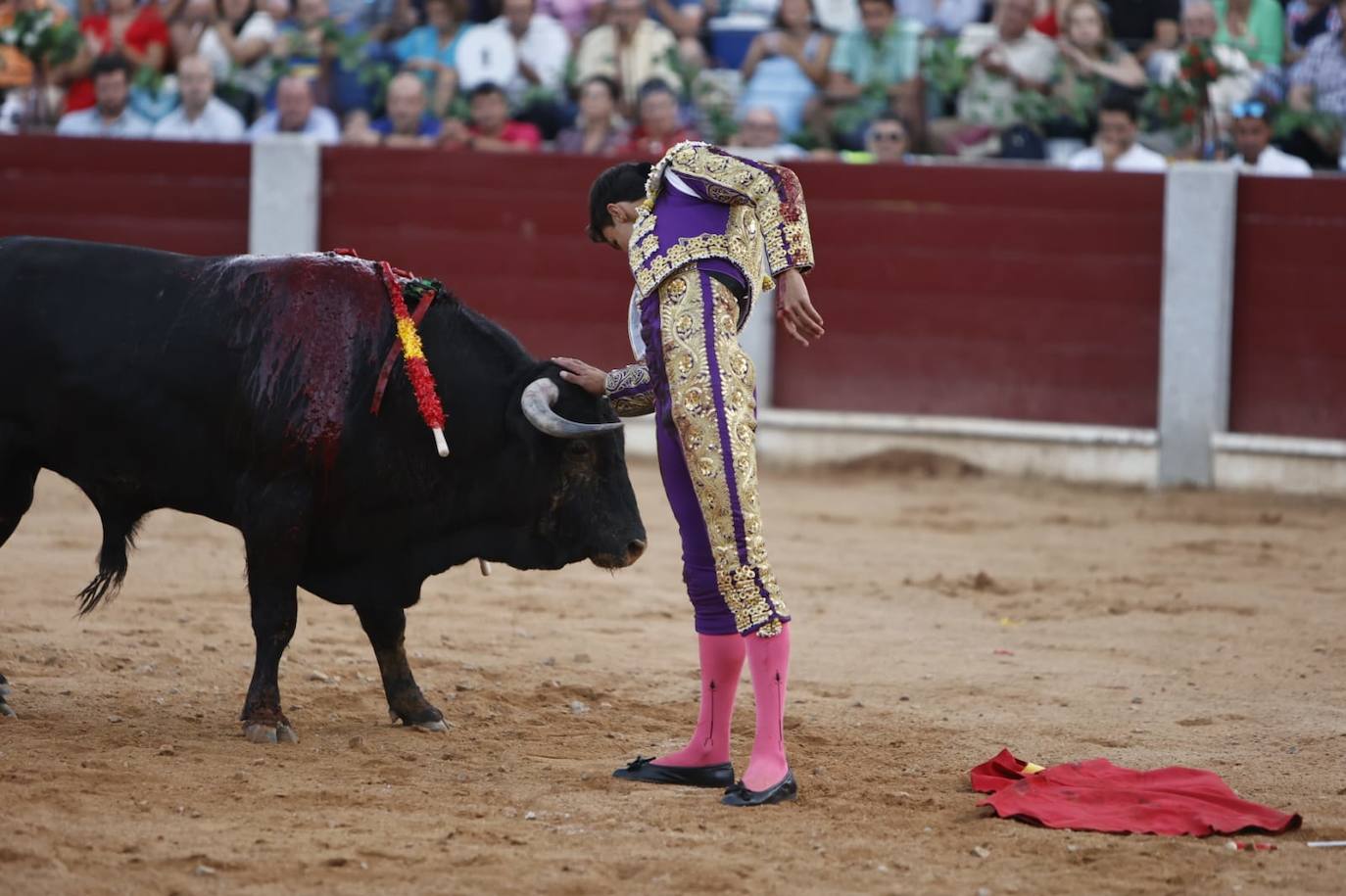 Las mejores imágenes del festejo de Talavante, Castella y Diosleguarde en Guijuelo