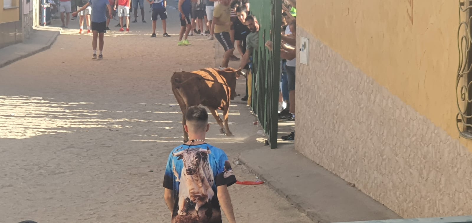 Calzada de Valdunciel disfruta al máximo con el encierro urbano