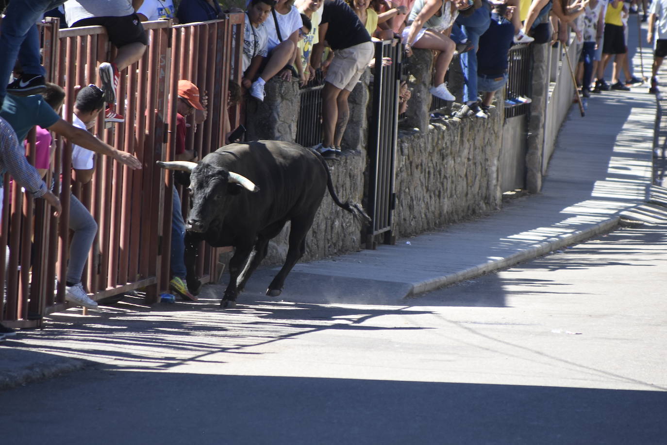 Herido un caballo en un deslavazado y largo tercer encierro guinaldés