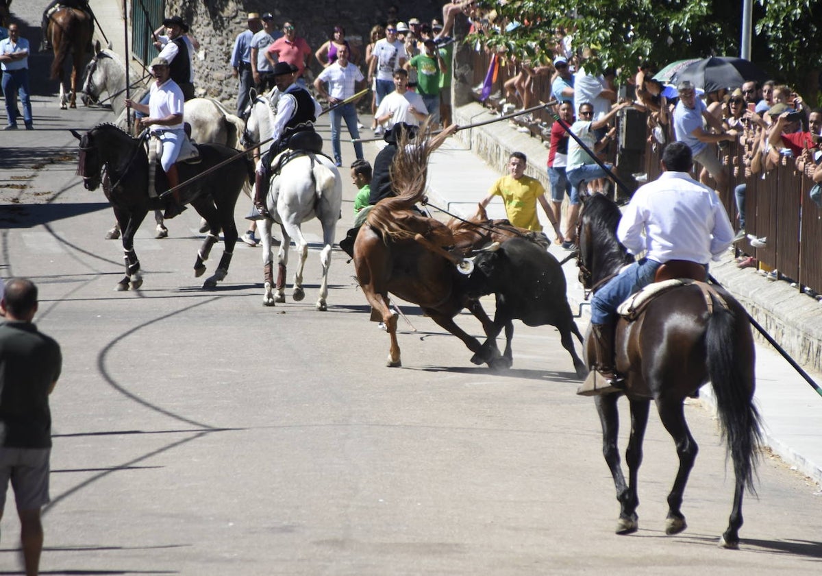 Herido un caballo en un deslavazado y largo tercer encierro guinaldés