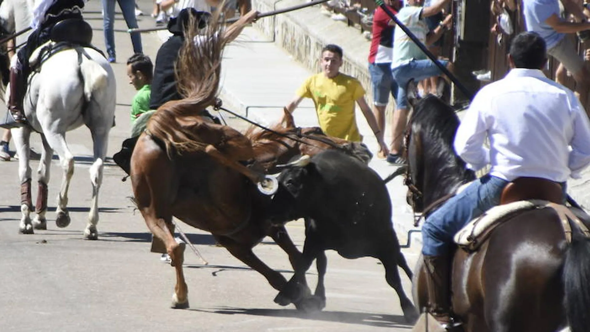 Susto en Fuenteguinaldo: un toro coge a un caballo en pleno encierro | La  Gaceta de Salamanca