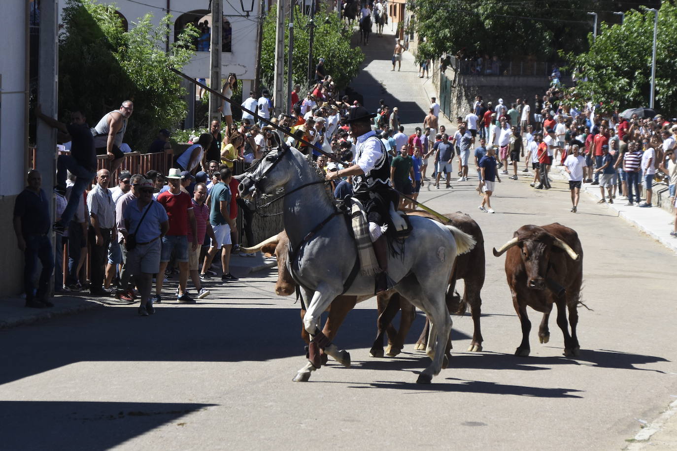 Herido un caballo en un deslavazado y largo tercer encierro guinaldés